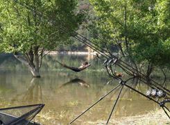 Carp Fishing